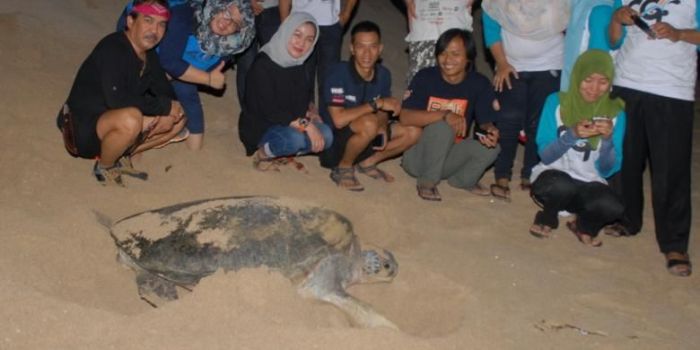 Peluang bisnis di Ciracap Kab. Sukabumi, Jawa Barat