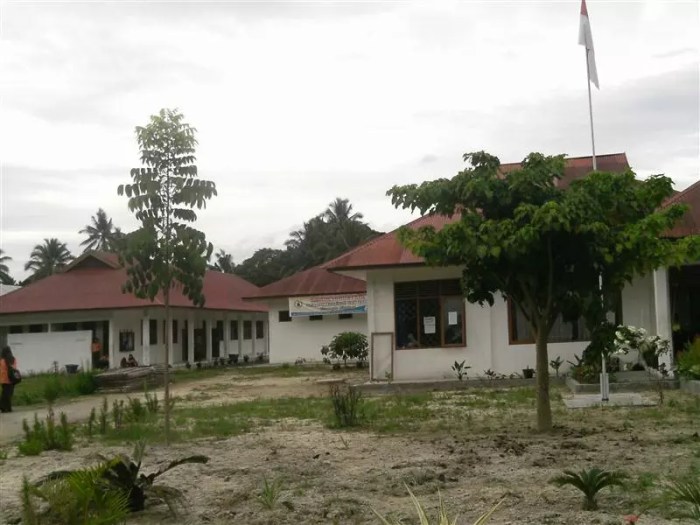 Pasaman Peluang Usaha di Rao Selatan Kab. Pasaman, Sumatera Barat