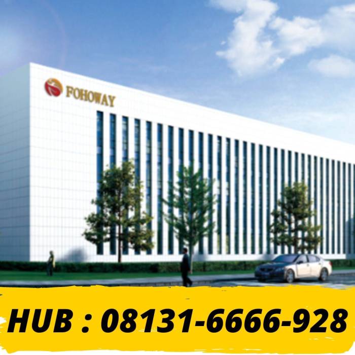 Peluang Bisnis di Pantar, Surga Tersembunyi di Nusa Tenggara Timur