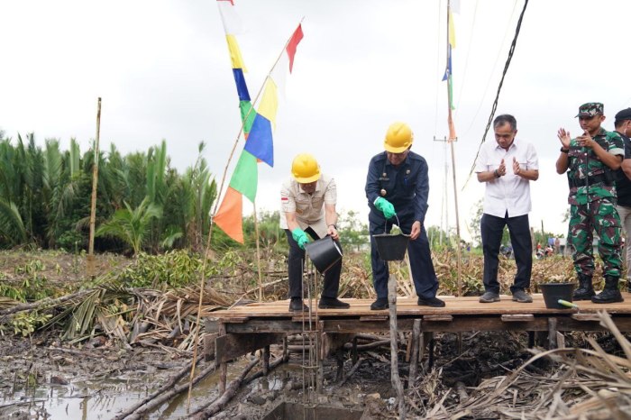 Peluang Usaha di Enok Kab. Indragiri Hilir, Riau