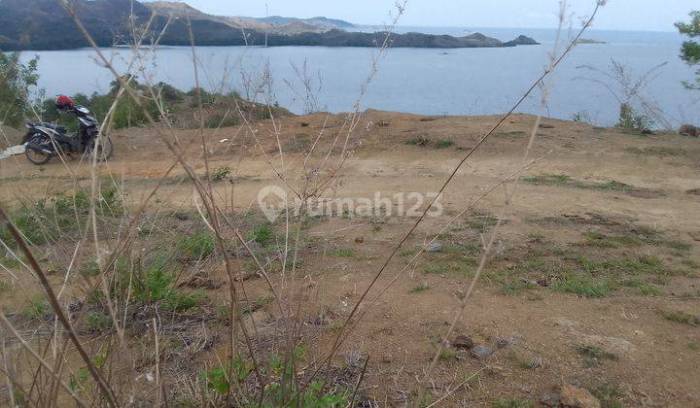 Alor pulau timur liburan mau destinasi kunjungi tenggara Alor pulau timur liburan mau destinasi kunjungi tenggara