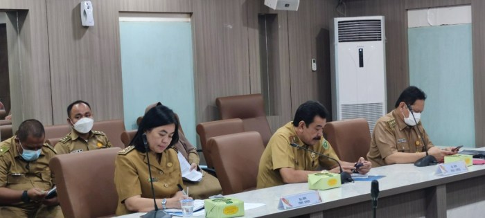 Peluang bisnis di Pemulutan Selatan Kab. Ogan Ilir, Sumatera Selatan