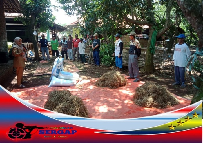Peluang Bisnis di Tirtamulya, Karawang Menjelajahi Potensi Ekonomi di Jawa Barat