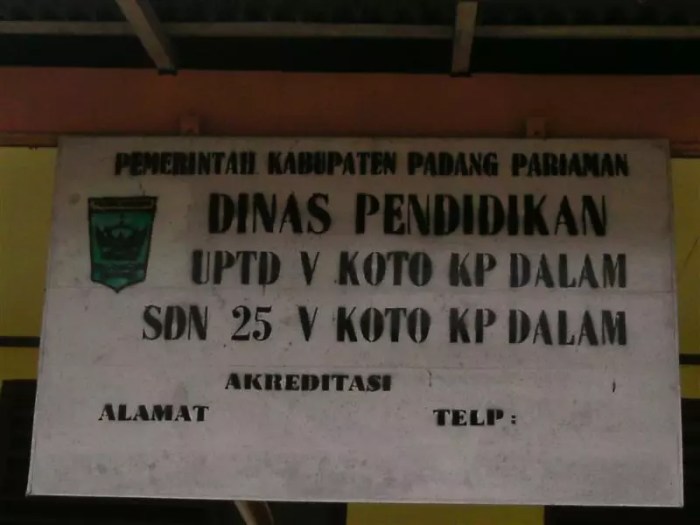 Peluang Usaha di V Koto Timur Kab. Padang Pariaman, Sumatera Barat