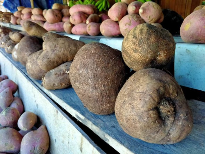 Peluang Usaha di Bunta Kab. Banggai, Sulawesi Tengah