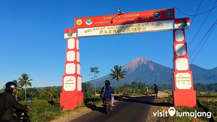 Peluang bisnis di Pasrujambe Kab. Lumajang, Jawa Timur