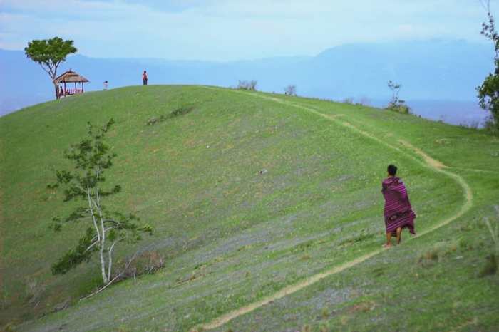 Peluang Usaha di Sigi Kota Kab. Sigi, Sulawesi Tengah