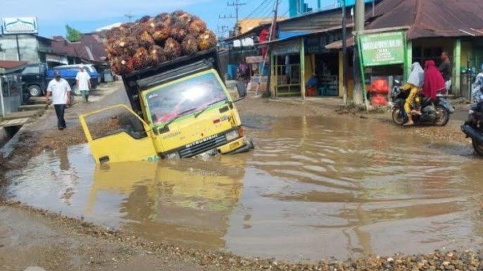 Peluang Usaha di Sosa Kabupaten Padang Lawas, Sumatera Utara