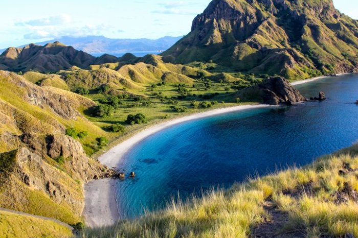 Peluang Bisnis di Teluk Mutiara Kab. Alor, Nusa Tenggara Timur Potensi Wisata dan Non-Pariwisata