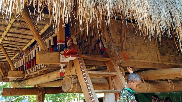 Peluang bisnis di Alor Timur Laut Kab. Alor, Nusa Tenggara Timur