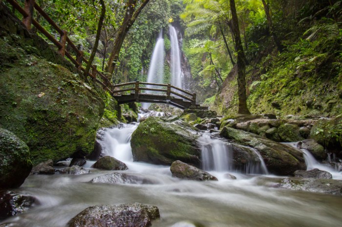 Peluang bisnis di Tanjung Raja Kab. Ogan Ilir, Sumatera Selatan