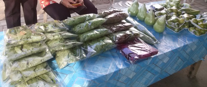 Usaha yang menjanjikan di Kapas Kab. Bojonegoro, Jawa Timur