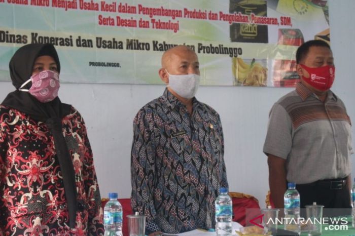 Peluang bisnis di Lumbang Kab. Probolinggo, Jawa Timur