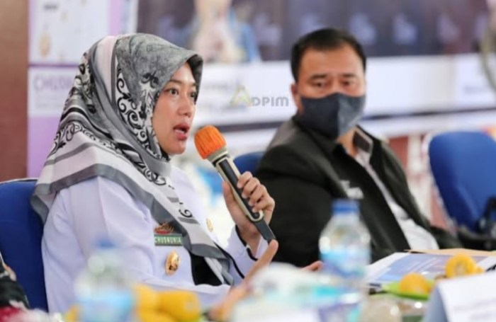 Peluang bisnis di Bahuga Kab. Way Kanan, Lampung