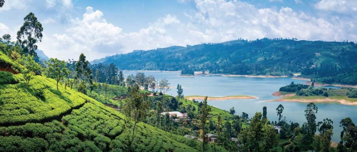 Peluang usaha di daerah pegunungan