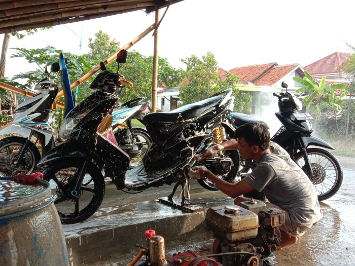 Peluang bisnis di pedesaan