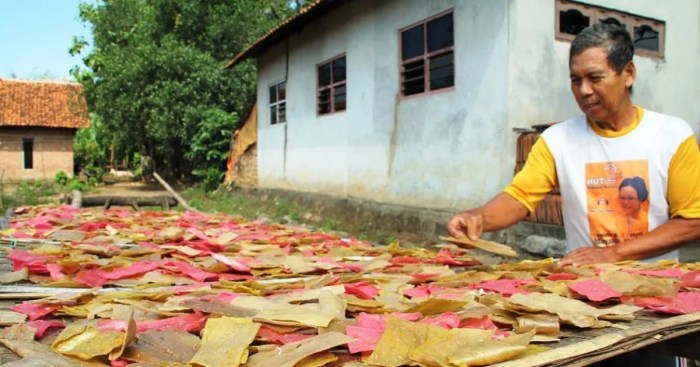 Peluang usaha rumahan di pedesaan
