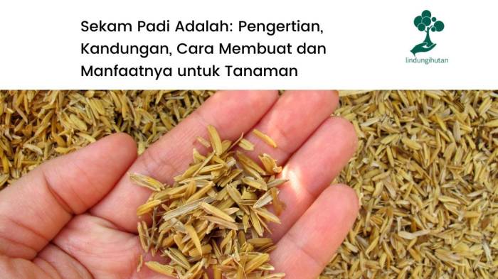Peluang usaha sekam padi