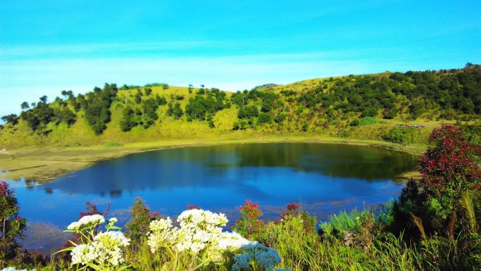 Usaha yang menjanjikan di Kandeman Kab. Batang, Jawa Tengah