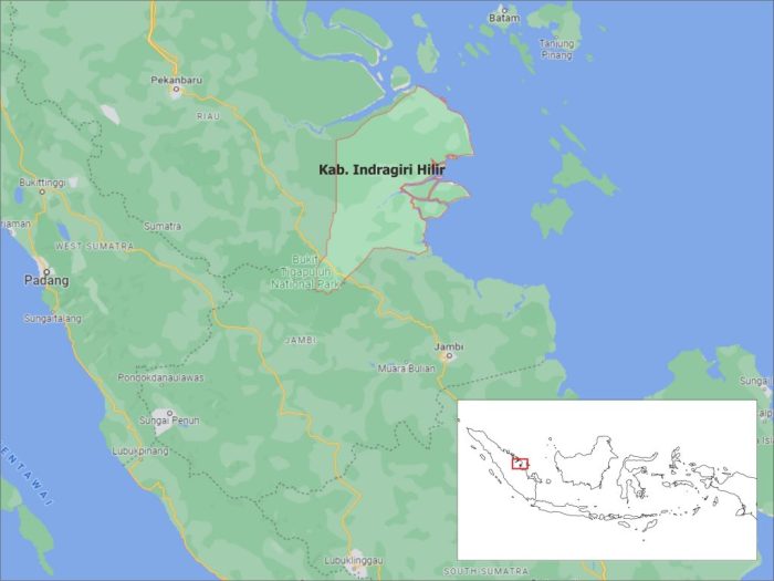 Peluang bisnis di Enok Kab. Indragiri Hilir, Riau