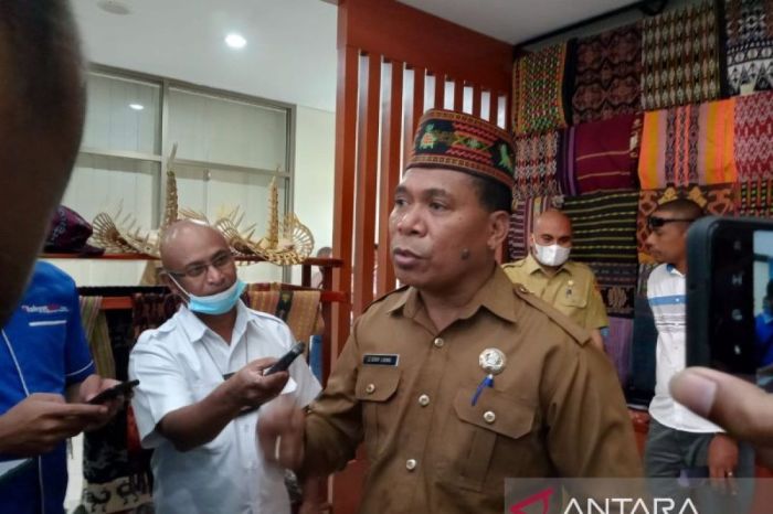 Peluang Usaha di Alor Timur Laut Kab. Alor, Nusa Tenggara Timur Menjelajahi Potensi Ekonomi dan Pariwisata