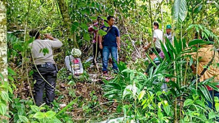 Peluang Usaha di Siempat Nempu Kabupaten Dairi, Sumatera Utara