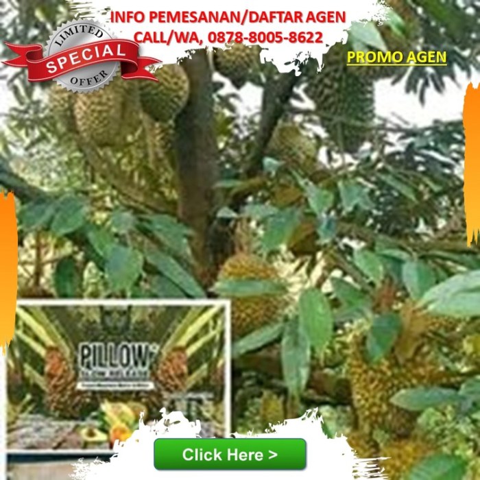 Tolitoli pulau kapas hawai keindahan papan pilih Peluang bisnis di Dampal Utara Kab. Tolitoli, Sulawesi Tengah