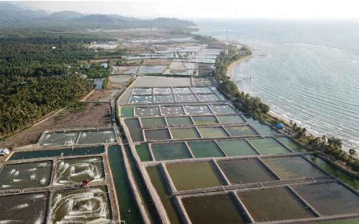 Gresik petrokimia kebun percobaan ikan budidaya kolam terlalu dilewatkan keren riset pusat agro Usaha yang menjanjikan di Tambak Kab. Gresik, Jawa Timur