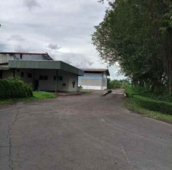 Peluang Usaha di Pungging Kab. Mojokerto, Jawa Timur