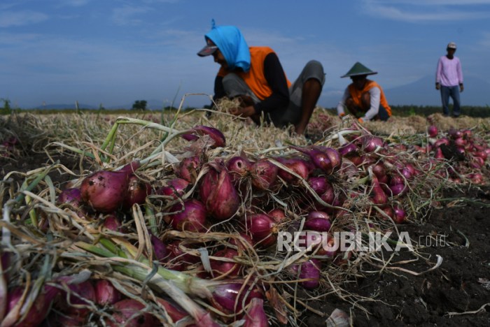 Peluang Usaha di Bawang Kab. Banjarnegara, Jawa Tengah Potensi Bisnis di Bumi Serayu