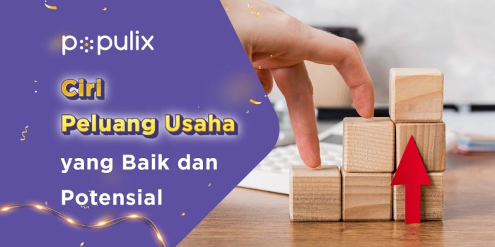 Peluang Usaha Mudah Raih Kebebasan Finansial dengan Bisnis yang Menjanjikan
