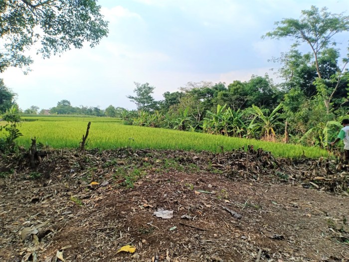 Usaha Menjanjikan di Kedawung Kab. Sragen, Jawa Tengah Peluang Bisnis di Bumi Sukowati