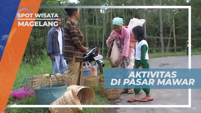 Peluang Usaha di Pakis Kab. Magelang, Jawa Tengah