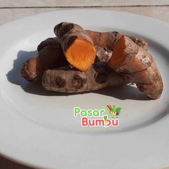 Peluang Usaha Kunyit Menjelajahi Potensi Bisnis dari Rempah Kaya Manfaat