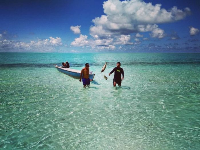 Peluang bisnis di Wer Tamrian Kab. Kepulauan Tanimbar, Maluku