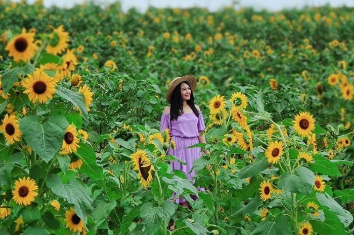 Peluang Bisnis di Trawas, Mojokerto Menyelami Potensi Wisata dan Pertanian