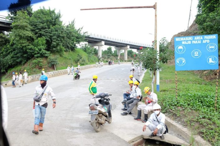 Peluang Usaha di Bungku Timur Kab. Morowali, Sulawesi Tengah Potensi Ekonomi dan Sektor Unggulan