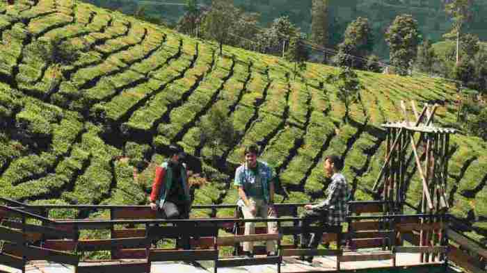 Peluang Bisnis di Cileunyi Kab. Bandung, Jawa Barat Potensi dan Strategi