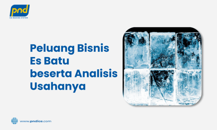 Peluang Bisnis di Tanjung Batu Kab. Ogan Ilir, Sumatera Selatan Potensi Ekonomi yang Menjanjikan