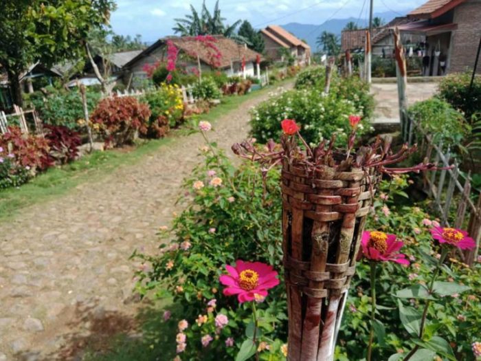 Peluang Usaha di Way Ratai Kab. Pesawaran, Lampung Potensi Ekonomi dan Kebutuhan Masyarakat