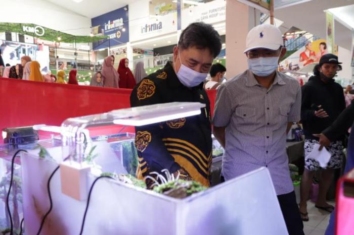 Peluang Usaha di Kaur Tengah Kab. Kaur, Bengkulu