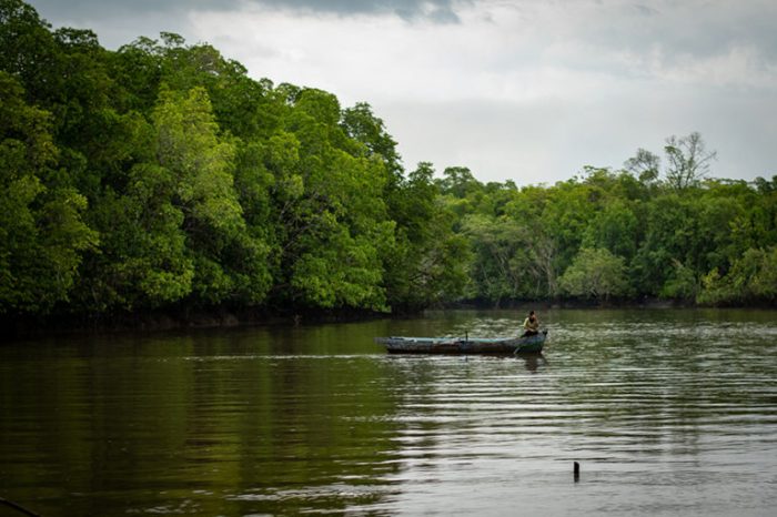 Peluang Usaha di Mendo Barat Kab. Bangka, Kepulauan Bangka Belitung Potensi Ekonomi dan Pasar yang Menjanjikan