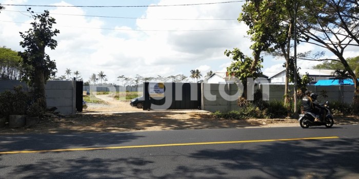 Peluang Usaha di Pakisaji Kab. Malang, Jawa Timur