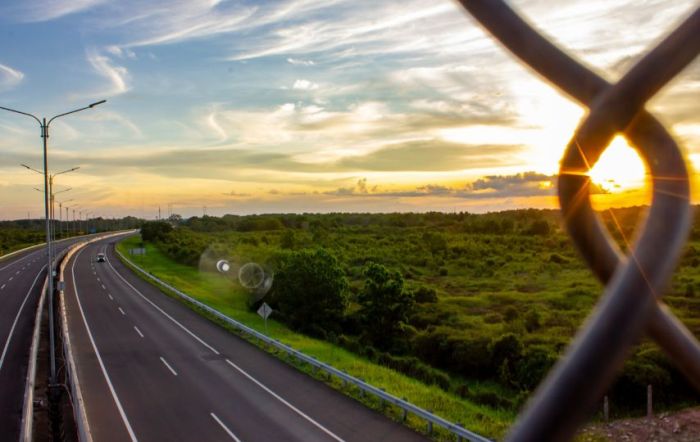 Peluang Bisnis di Pematang Panggang, Ogan Komering Ilir, Sumatera Selatan Potensi dan Tantangan