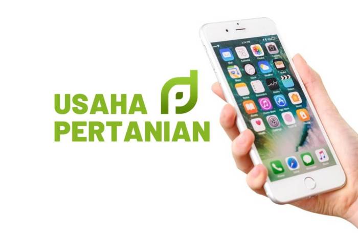 Usaha Menjanjikan di Rantau Selatan, Labuhanbatu Potensi dan Peluang