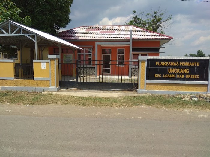 Peluang Bisnis di Losari Kab. Brebes, Jawa Tengah Potensi Ekonomi dan Sektor Unggulan