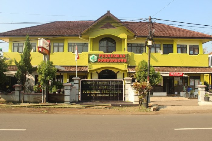 Peluang Usaha di Randuagung Kab. Lumajang, Jawa Timur Potensi dan Tantangan