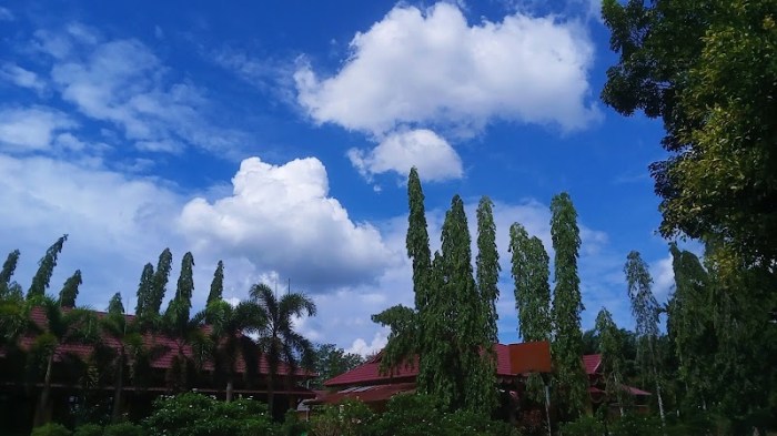 Peluang Bisnis di Sungai Lala Kab. Indragiri Hulu, Riau Potensi dan Tantangan