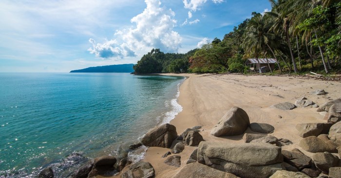 Peluang Bisnis di Bumi Raya Kab. Morowali, Sulawesi Tengah Potensi dan Tantangan