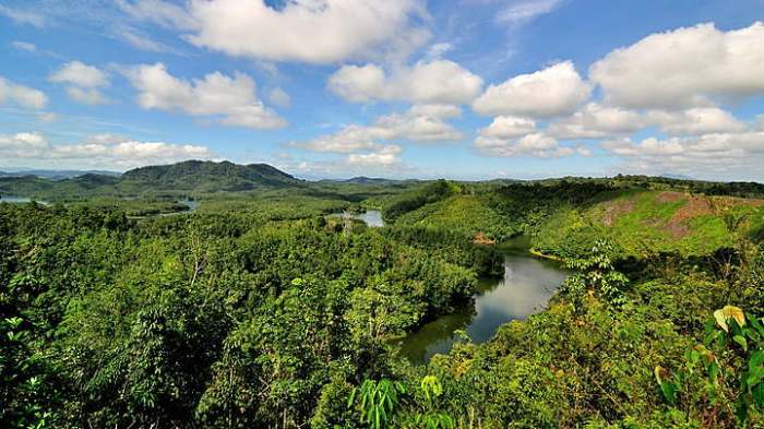 Peluang Usaha di Enok Kab. Indragiri Hilir, Riau Menjelajahi Potensi Ekonomi dan Bisnis